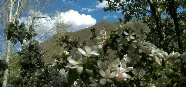 منظره های زیبای نسن در اردیبهشت ۱۴۰۰ منظره های زیبای نسن در اردیبهشت ۱۴۰۰